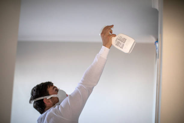 Best Office Mold Removal Services  in Pleasure Point, CA